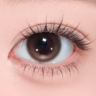 [OOHA] Wave Shell Brown - Lens design