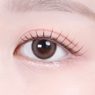 [OOHA] Travel Kyoto Brown - On-eye view